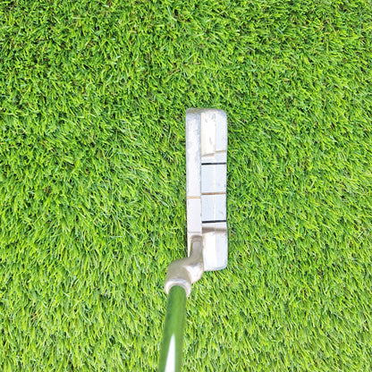 Palo de golf Putter Greenway Pointo