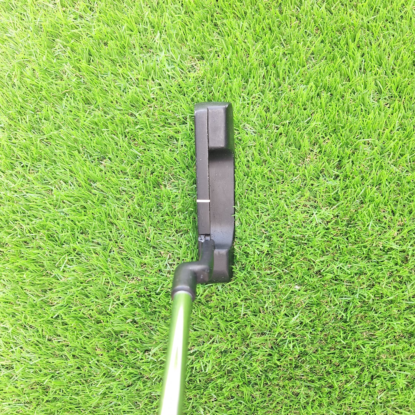 Palo de golf Putter System 4