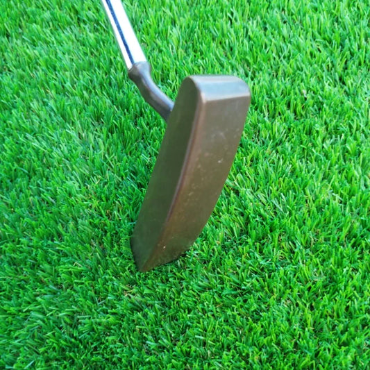 Palo de golf Putter Ping Zing 2
